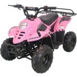 HAWK 110CC AUTOMATIC ATV - Image 14