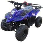 HAWK 110CC AUTOMATIC ATV - Image 6