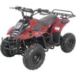 HAWK 110CC AUTOMATIC ATV