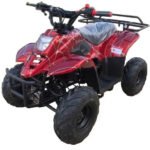 HAWK 110CC AUTOMATIC ATV - Image 8