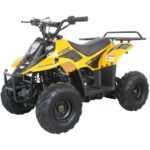 HAWK 110CC AUTOMATIC ATV - Image 3