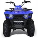 BIGHORN 150 AUTOMATIC ATV | 150cc - Image 2