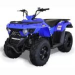 BIGHORN 150 AUTOMATIC ATV | 150cc