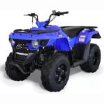 BIGHORN 150 AUTOMATIC ATV | 150cc