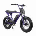 MacFox XIS Fat tire ebike
