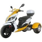MOJO MAGIC 150cc TRIKE - Image 4
