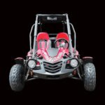 Trailmaster ULTRA BLAZER 200 Go Kart High Back seats, Live Rear Axle, Double A-Arms, Coil Over Shocks
