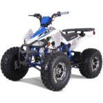 NEW CHEETAH PLATINUM  125 - LIMITED EDITION ATV - Image 10