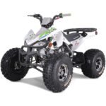 NEW CHEETAH PLATINUM  125 - LIMITED EDITION ATV - Image 32
