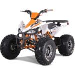NEW CHEETAH PLATINUM  125 - LIMITED EDITION ATV - Image 34