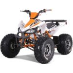 NEW CHEETAH PLATINUM  125 - LIMITED EDITION ATV - Image 3