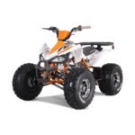 NEW CHEETAH PLATINUM  125 - LIMITED EDITION ATV - Image 43