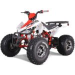 NEW CHEETAH PLATINUM  125 - LIMITED EDITION ATV - Image 35