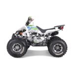 NEW CHEETAH PLATINUM  125 - LIMITED EDITION ATV - Image 42