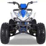 NEW CHEETAH PLATINUM  125 - LIMITED EDITION ATV - Image 6