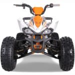 NEW CHEETAH PLATINUM  125 - LIMITED EDITION ATV - Image 8