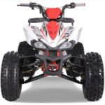 NEW CHEETAH PLATINUM  125 - LIMITED EDITION ATV - Image 9