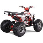 NEW CHEETAH PLATINUM  125 - LIMITED EDITION ATV - Image 39