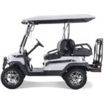 Tao Tao Electric Golf Cart 48V - 4 SEAT - Image 18