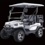 Tao Tao Electric Golf Cart 48V - 4 SEAT - Image 20