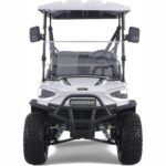 Tao Tao Electric Golf Cart 48V - 4 SEAT - Image 23