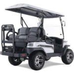 Tao Tao Electric Golf Cart 48V - 4 SEAT - Image 27