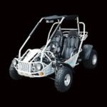 TM BOBCAT 300 XRS GO KART BUGGY