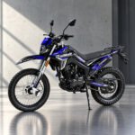 TrailMaster RMX250 Enduro dirt bike - Image 10
