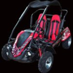 TrailMaster Blazer 200R Youth Off-Road Go-Kart