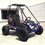TM EAGLE MINI XRX+ GO KART 163cc - Image 9