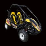 TrailMaster Blazer 200R Go Kart