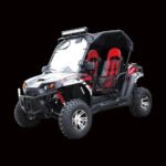 TrailMaster Challenger 200X Side x Side UTV