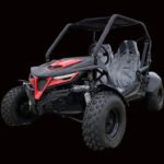 Trailmaster Cheetah 200EX Off Road UTV / Go Kart / side-by-side Wind Shield, Light bar, Spare Tire, Upgraded Center Pivot rear end, Fuel Injected
