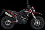 TrailMaster RMX250 Enduro dirt bike