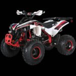 TrailMaster C125 ATV (8 Wheel)
