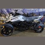 Saber Cat Trike 200cc Automatic w/ Reverse - Image 5