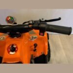 Anaheim Ducks Limited Edition 800W E ATV 72HR SALE - Image 5