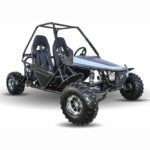 KD 200GKM-2A 200cc Automatic BUGGY with Reverse - Image 2