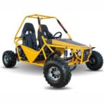 KD 200GKM-2A 200cc Automatic BUGGY with Reverse - Image 3