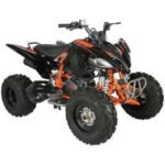 Vitacci Pentora 250 ATV for Sale - Image 11