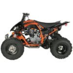Vitacci Pentora 250 ATV for Sale - Image 12