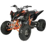 Vitacci Pentora 250 ATV for Sale - Image 13