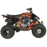 Vitacci Pentora 250 ATV for Sale - Image 14