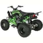 Vitacci Pentora 250 ATV for Sale - Image 16
