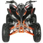Vitacci Pentora 250 ATV for Sale - Image 17