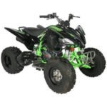 Vitacci Pentora 250 ATV for Sale - Image 10