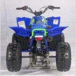 PENTORA 125CC ATV - Image 8