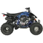 Vitacci Pentora 250 ATV for Sale - Image 7