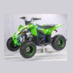 PENTORA 125CC ATV - Image 3