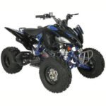 Vitacci Pentora 250 ATV for Sale - Image 8